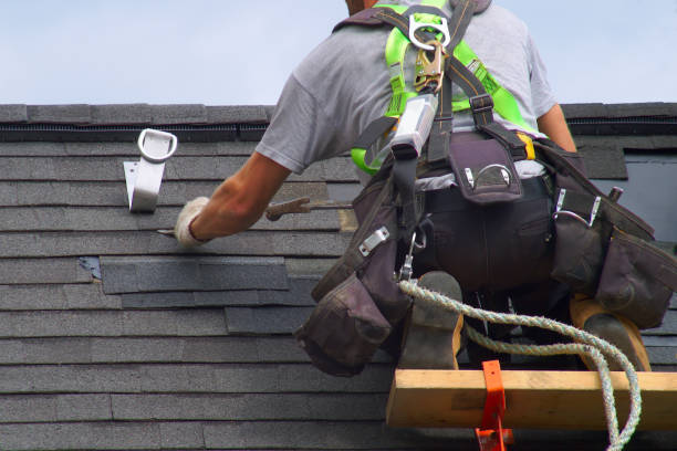 Roof Maintenance